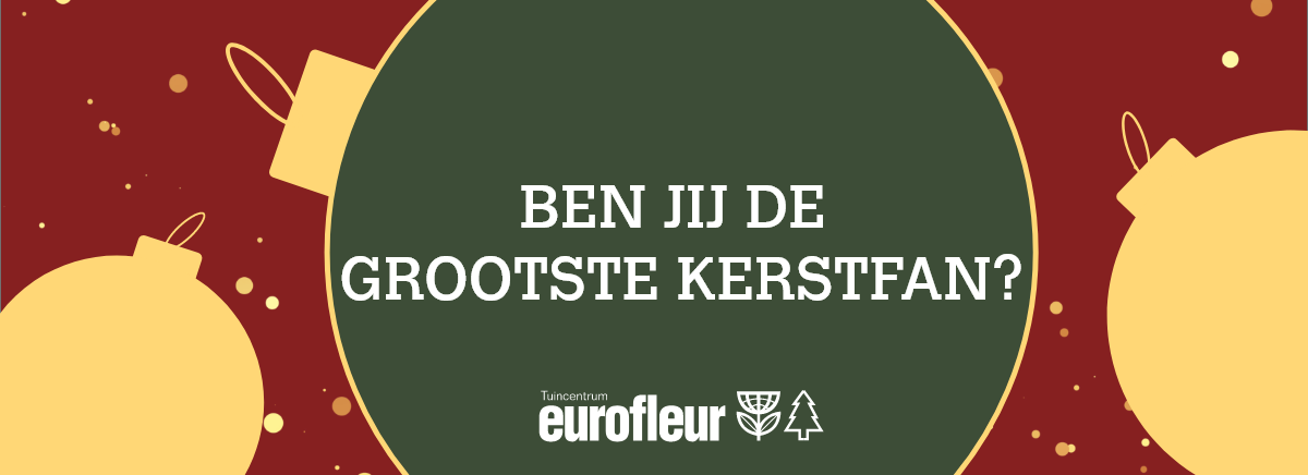 Kerstactie | win bij Eurofleur!