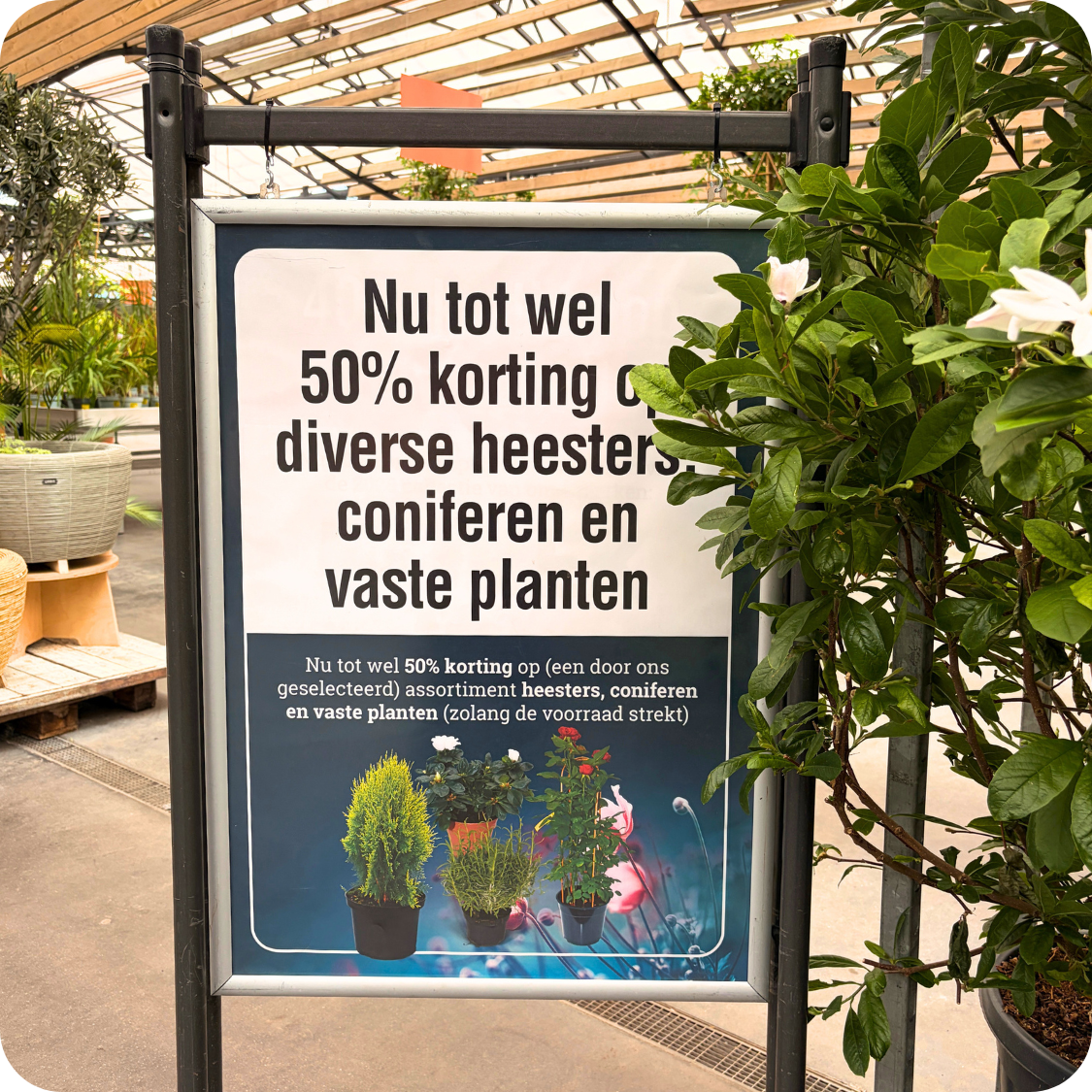 Tot 50% korting op geselecteerde planten | Tuincentrum Eurofleur Tot 50% korting op geselecteerde planten | Tuincentrum Eurofleur