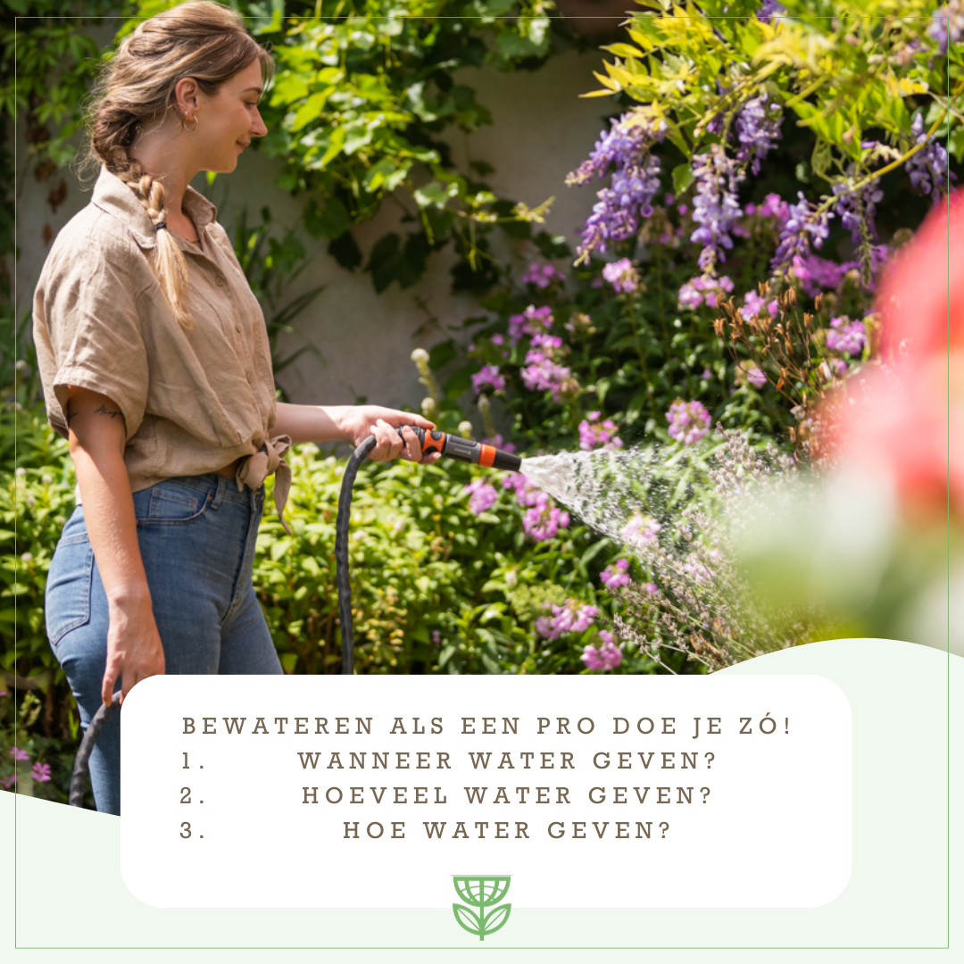 Verblijd de tuin met een slokje! | Tuincentrum Eurofleur in Leusden