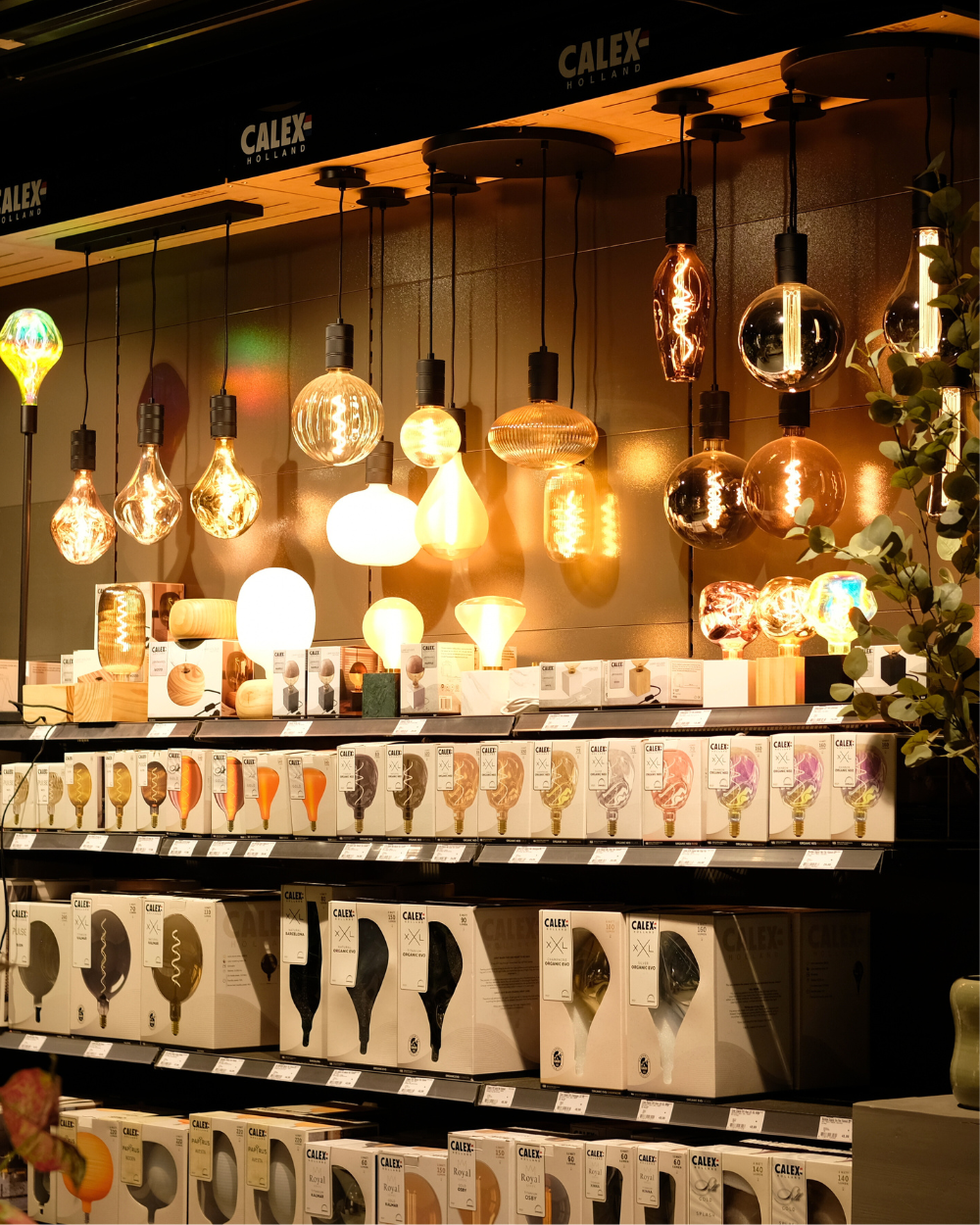 Verlichting kopen bij Tuincentrum Eurofleur in Leusden!