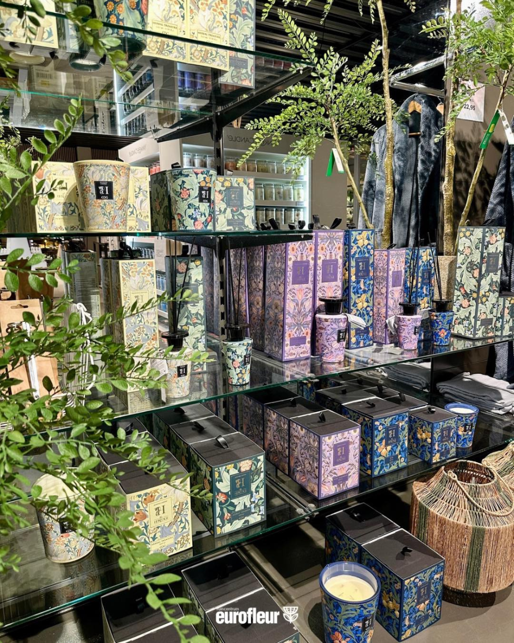 Enzo de Gasperi (EDG) koop je bij tuincentrum Eurofleur in Leusden!