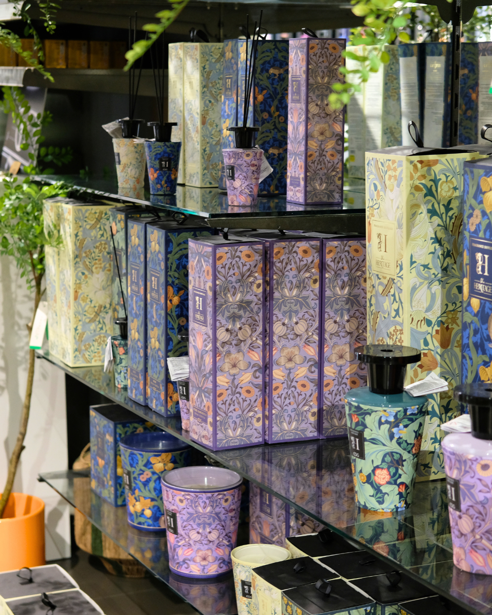 Enzo de Gasperi (EDG) koop je bij tuincentrum Eurofleur in Leusden!