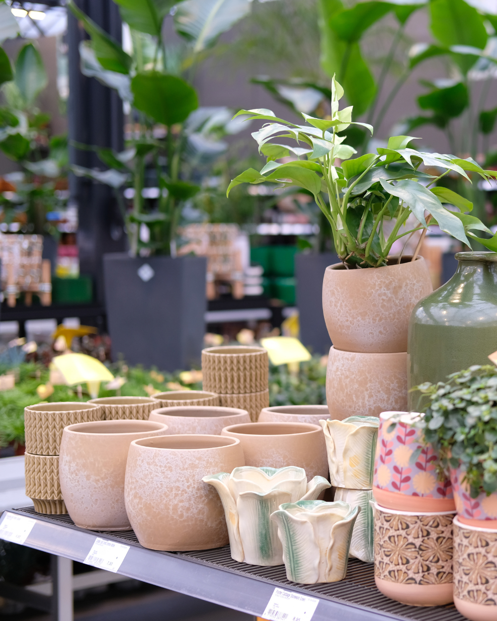 Bloempot kopen bij tuincentrum Eurofleur!