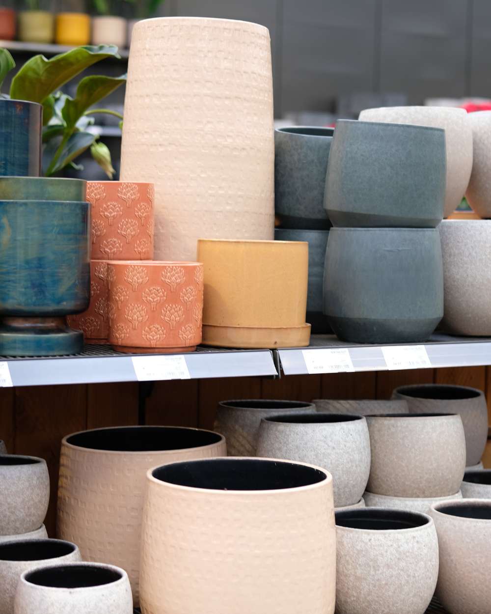 Bloempot binnen of buiten? | Tuincentrum Eurofleur in Leusden