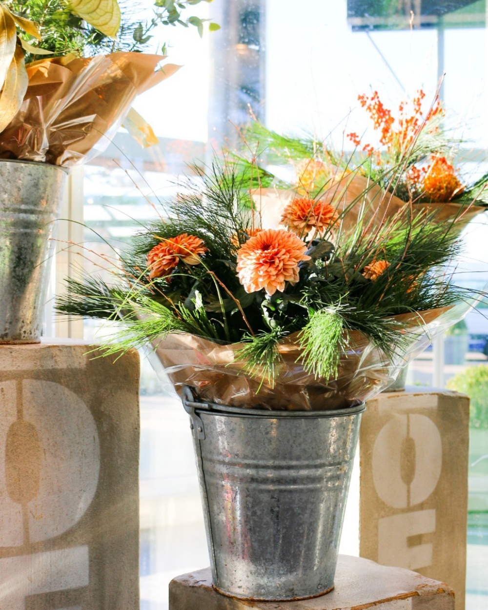 Shop jouw bloemen bij tuincentrum Eurofleur!