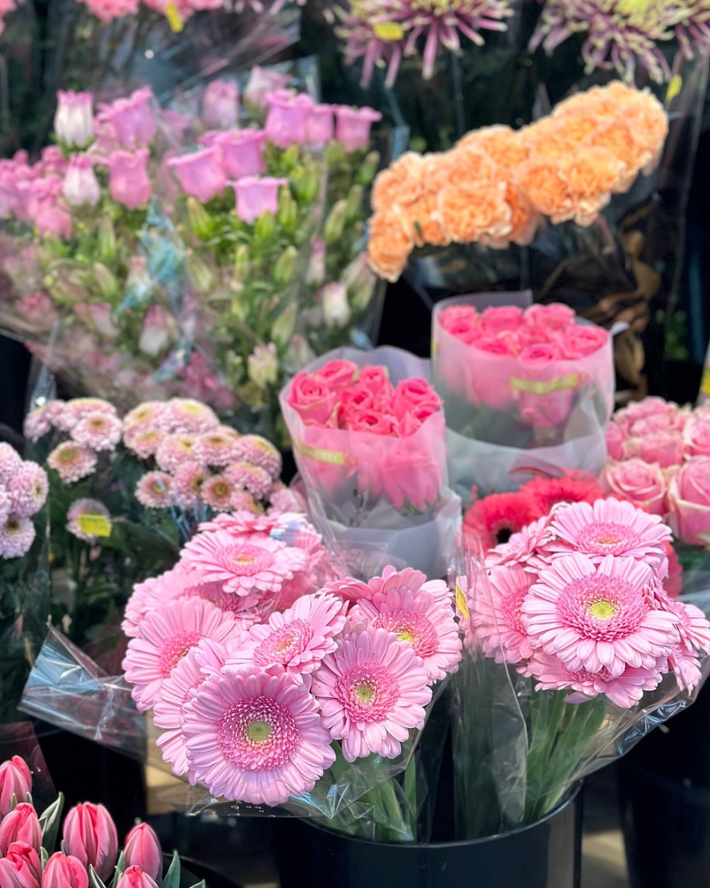 Shop jouw mooiste snijbloemen bij tuincentrum Eurofleur!