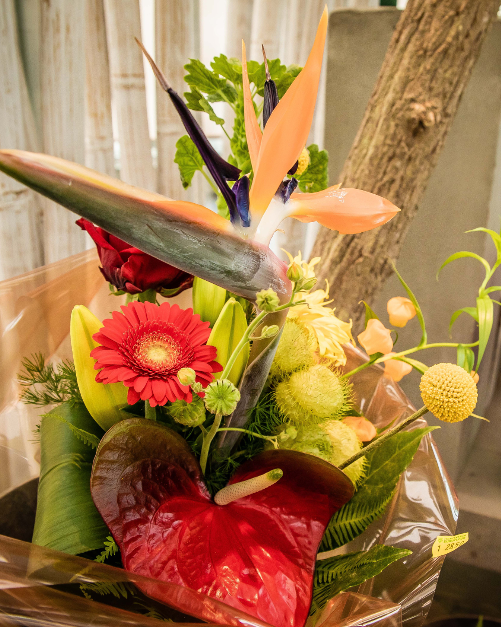 Boeket bloemen kopen? Kom naar tuincentrum Eurofleur in Leusden!