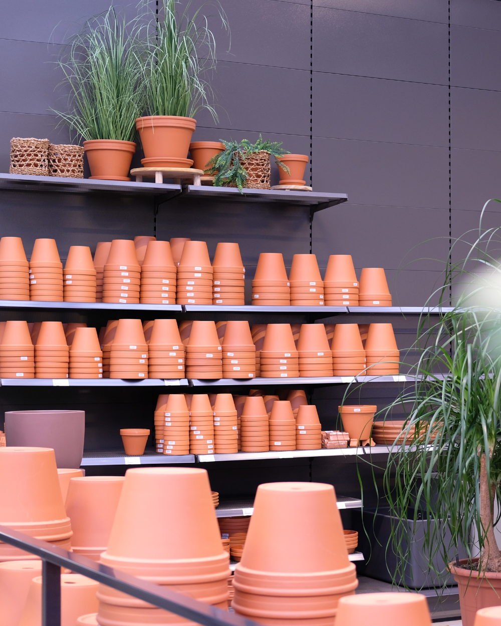 Pot kopen? Kom naar tuincentrum Eurofleur in Leusden!