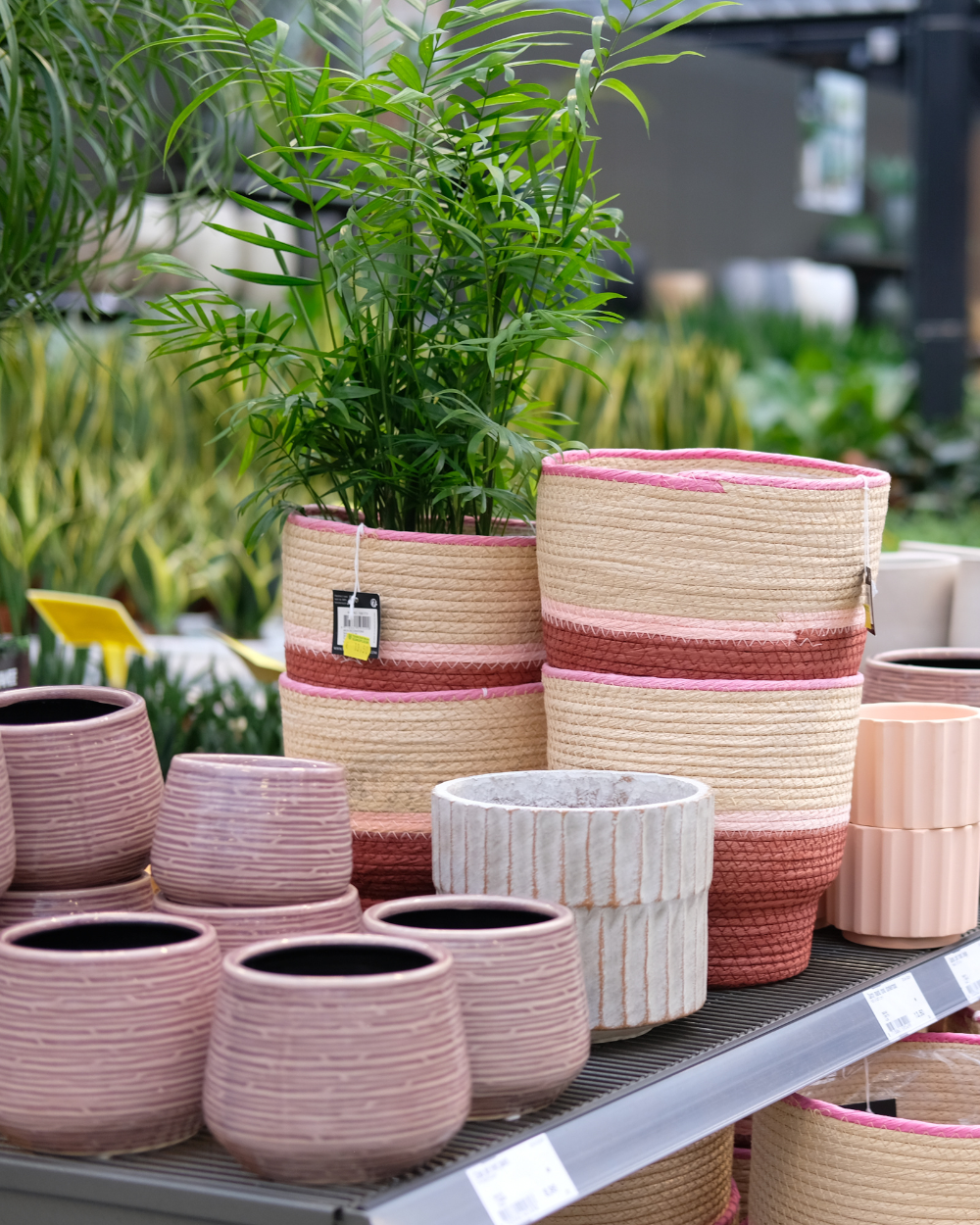 Pot voor binnen of buiten kopen? Kom naar tuincentrum Eurofleur in Leusden!