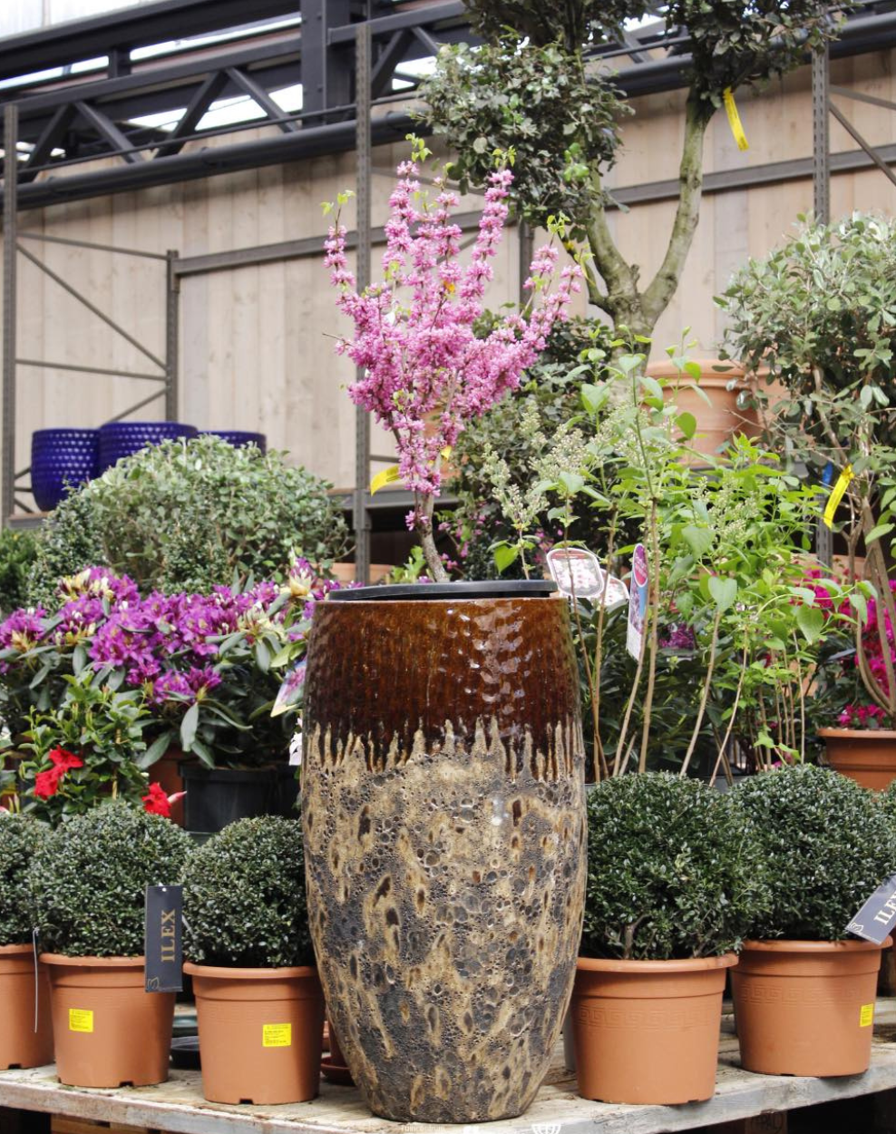 Bloempot voor buiten kopen bij tuincentrum Eurofleur!