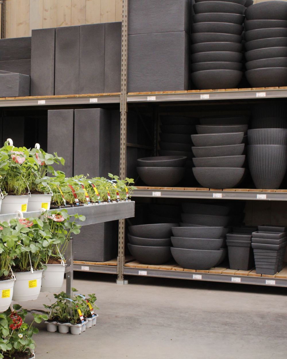 Pot voor je plant kopen? Kom naar tuincentrum Eurofleur in Leusden!