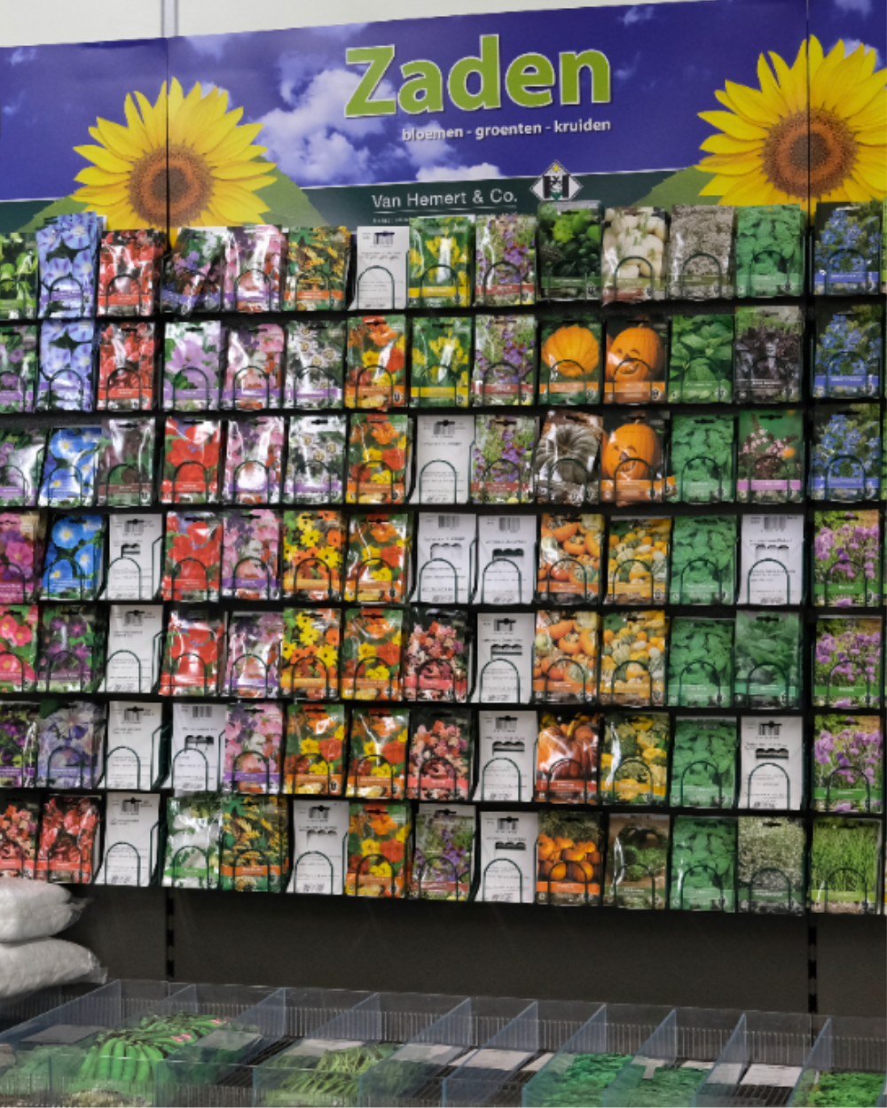 Zaden koop je bij tuincentrum Eurofleur in Leusden!