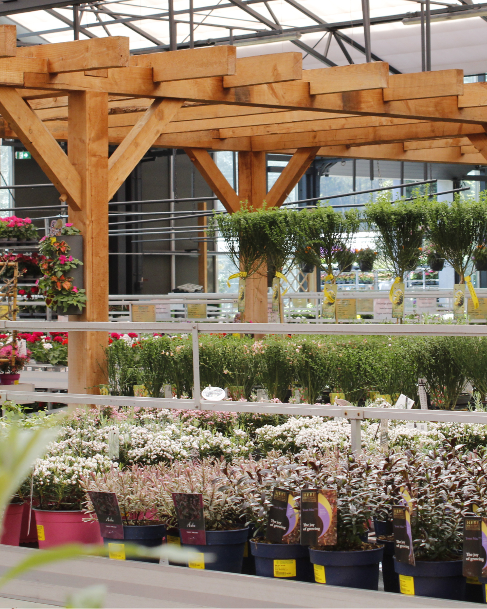 Vaste planten koop je bij tuincentrum Eurofleur in Leusden! Vaste planten koop je bij tuincentrum Eurofleur in Leusden!