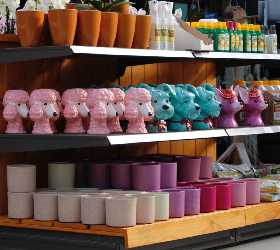Bij Eurofleur hebben we een breed assortiment aan grappige bloempotten!