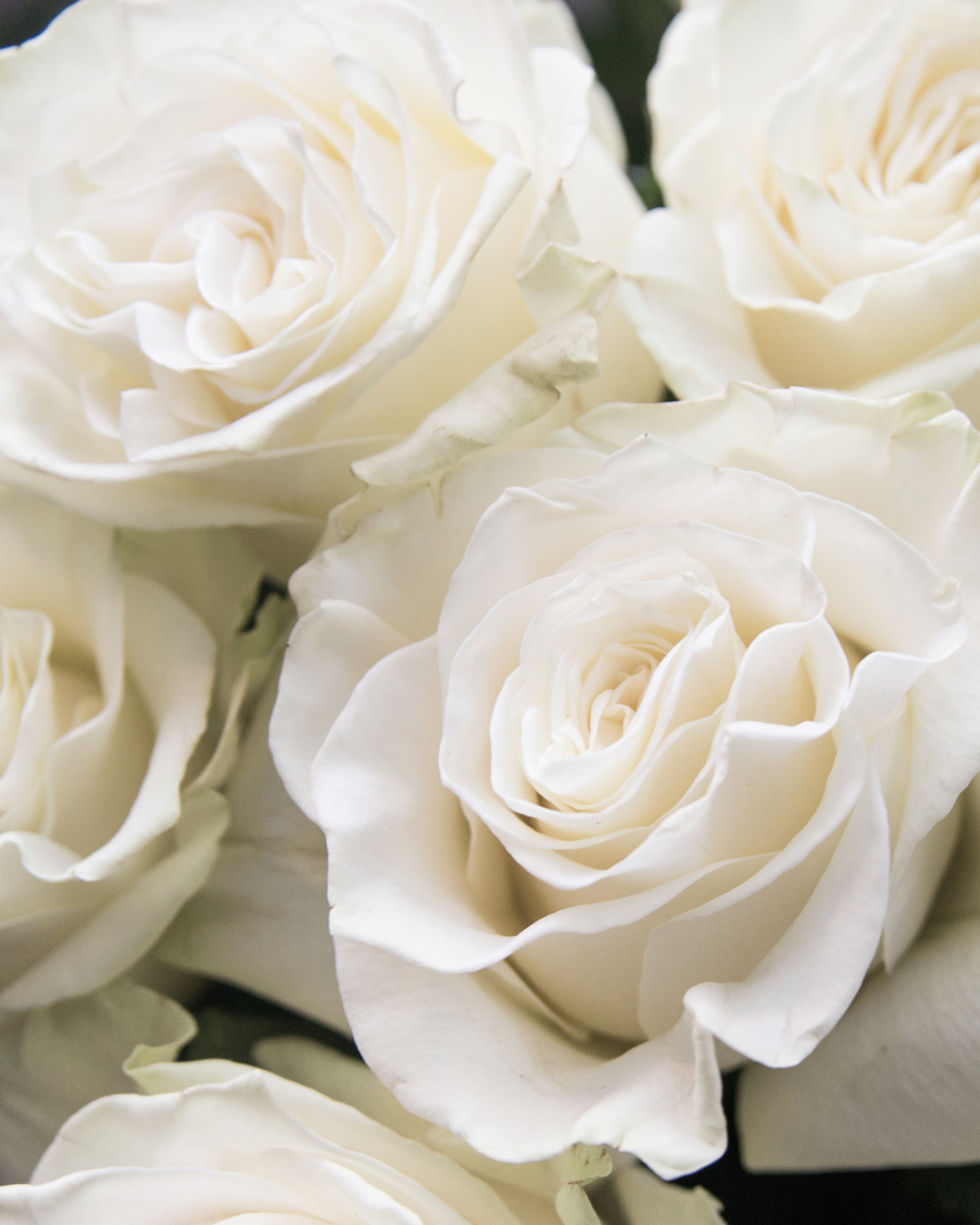 Rouwbloemen koop je bij tuincentrum Eurofleur in Leusden.