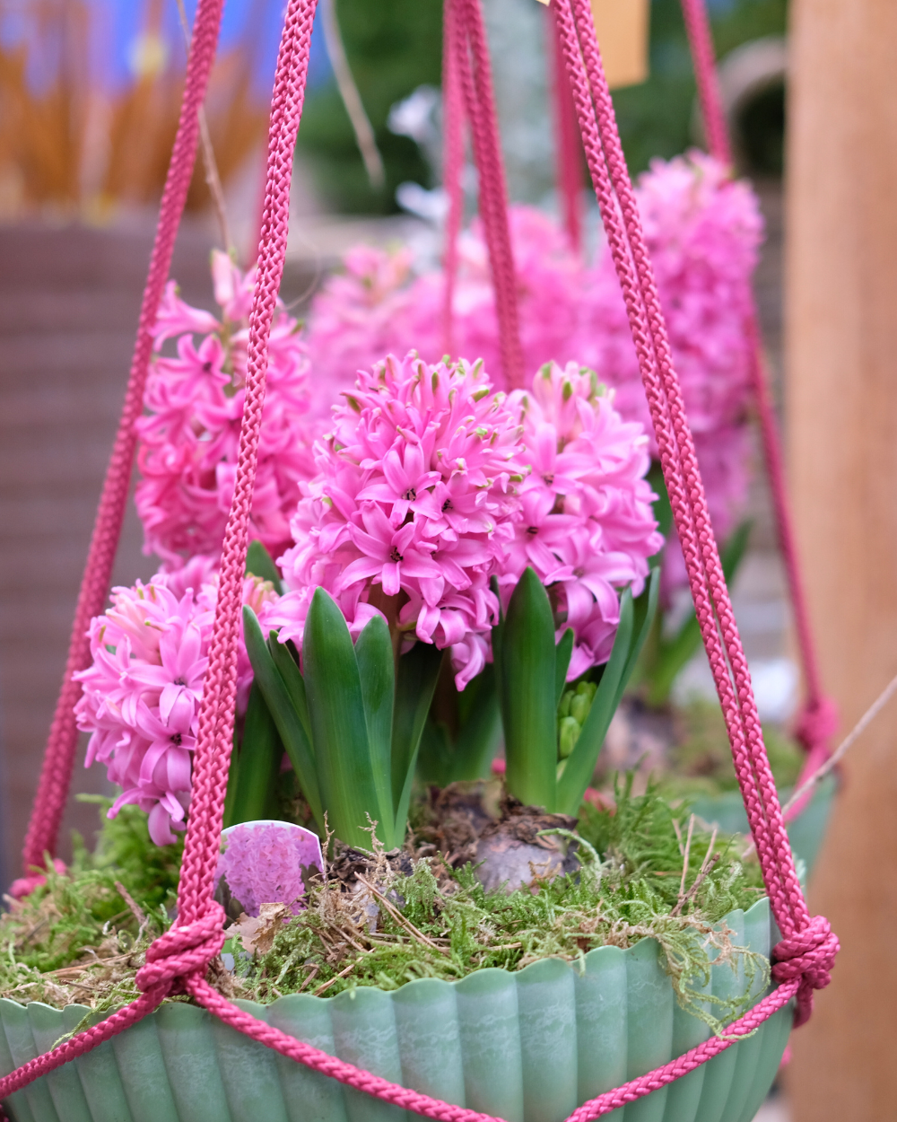 Bollen koop je bij tuincentrum Eurofleur in Leusden!