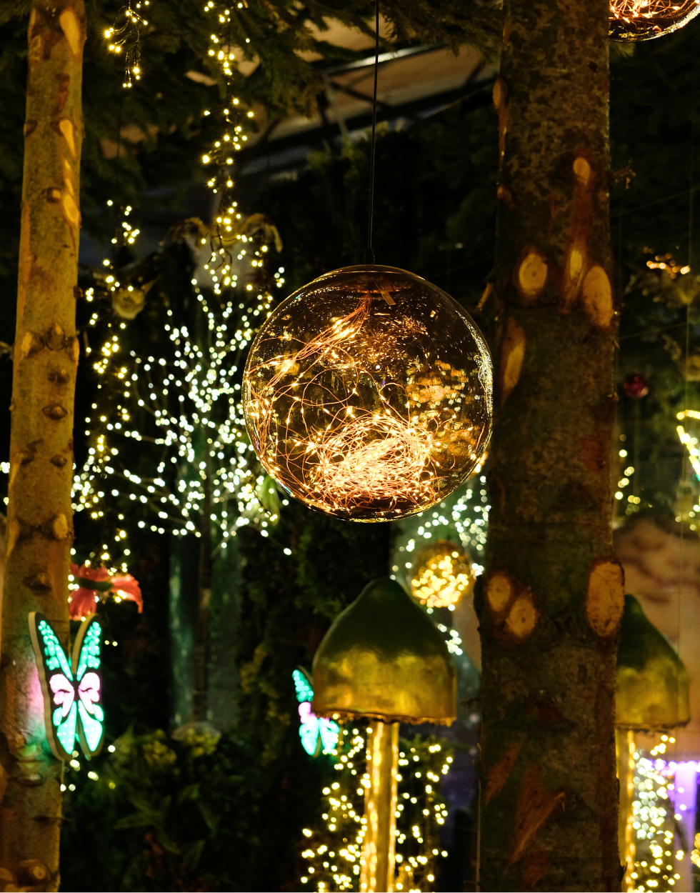 Kerstverlichting kopen | Tuincentrum Eurofleur Kerstverlichting kopen | Tuincentrum Eurofleur