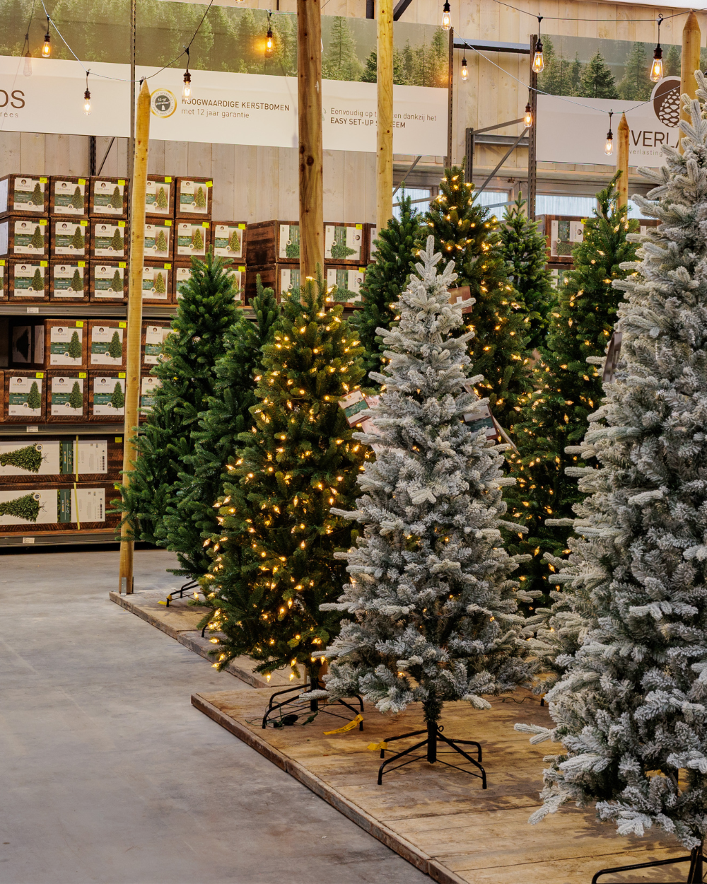 Everlands kunstkerstboom kopen? Kom naar Eurofleur in Leusden! Everlands kunstkerstboom kopen? Kom naar Eurofleur in Leusden!