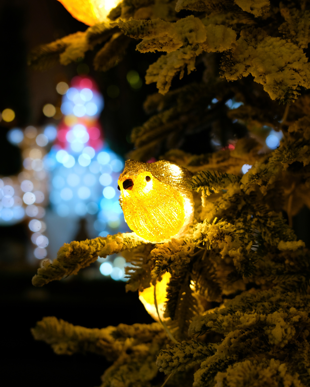 Kerstafdeling, online kerstverlichting kopen | Tuincentrum Eurofleur Kerstafdeling, online kerstverlichting kopen | Tuincentrum Eurofleur