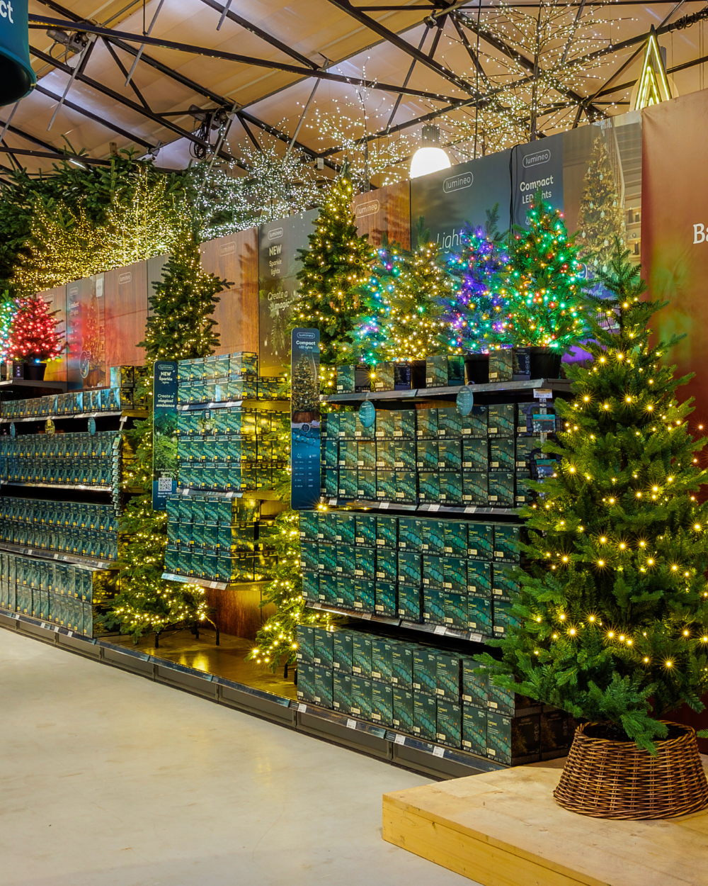 Kerstafdeling, online kerstverlichting kopen | Tuincentrum Eurofleur Kerstafdeling, online kerstverlichting kopen | Tuincentrum Eurofleur