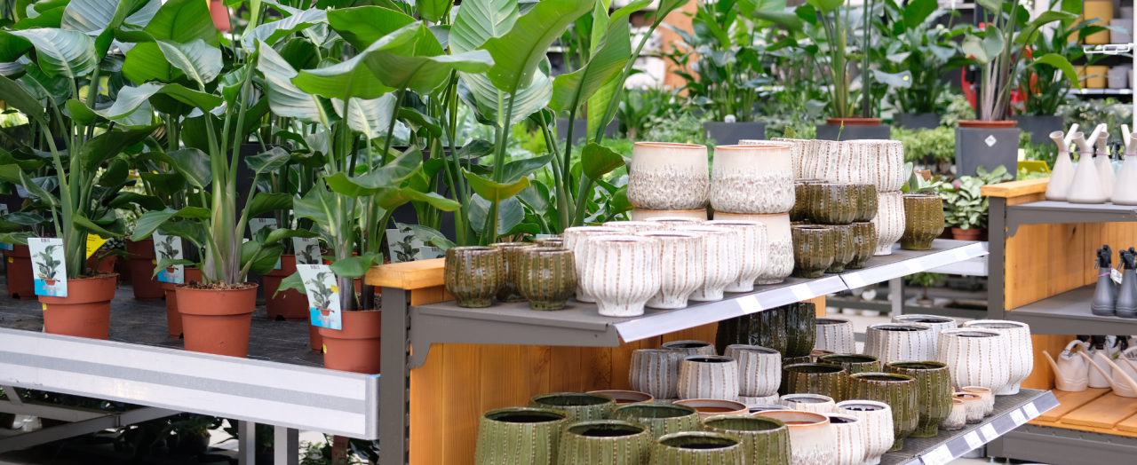 Shop jouw bloempot bij tuincentrum Eurofleur!
