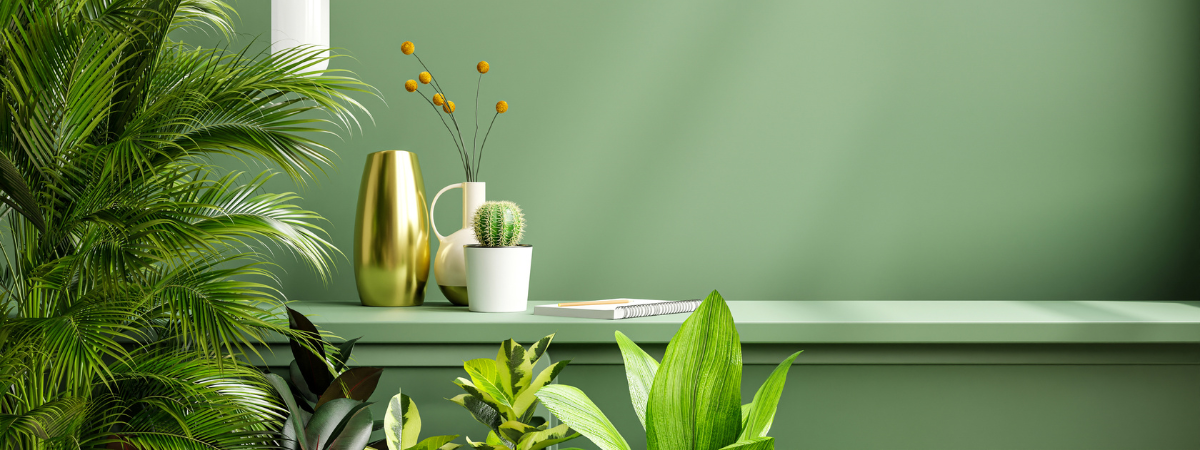 Start het jaar fris met deze trendy groene bladplanten