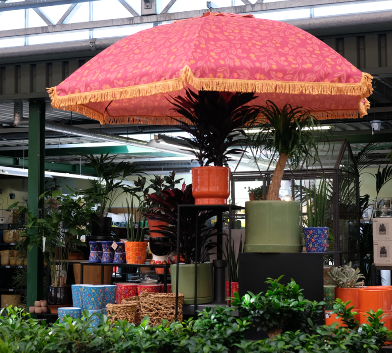 Een Ibiza parasol koop je bij tuincentrum Eurofleur in Leusden!