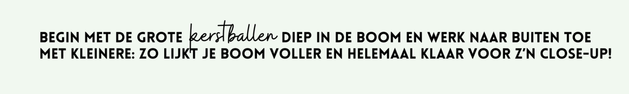 Met een beetje liefde, aandacht en Eurofleur haal jij het beste uit je kerst! Met een beetje liefde, aandacht en Eurofleur haal jij het beste uit je kerst!
