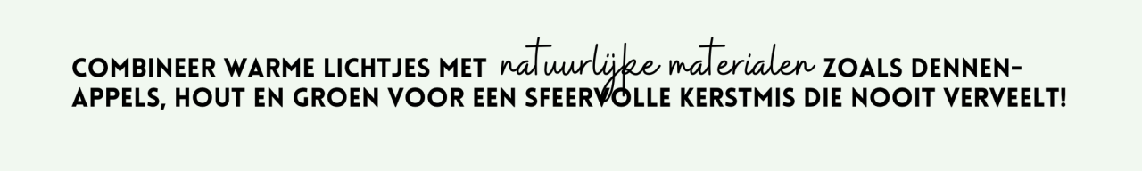 Met een beetje liefde, aandacht en Eurofleur maak je van jouw huis een kerstpaleis! Met een beetje liefde, aandacht en Eurofleur maak je van jouw huis een kerstpaleis!