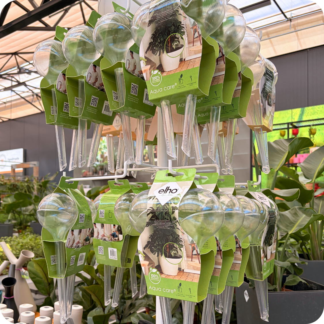Kamerplanten verzorgen in de zomer? Kom langs bij tuincentrum Eurofleur!