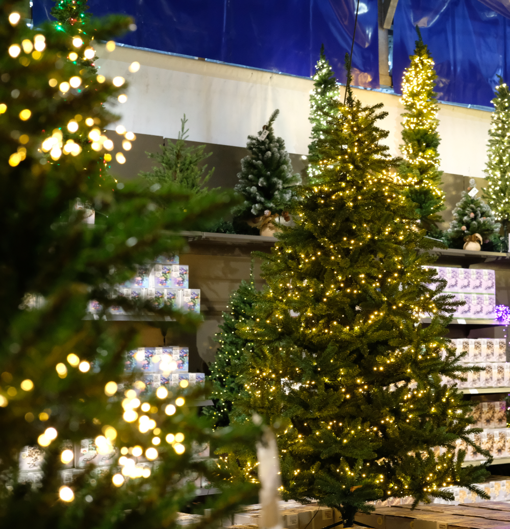 Kerstafdeling, online kerstverlichting kopen | Tuincentrum Eurofleur