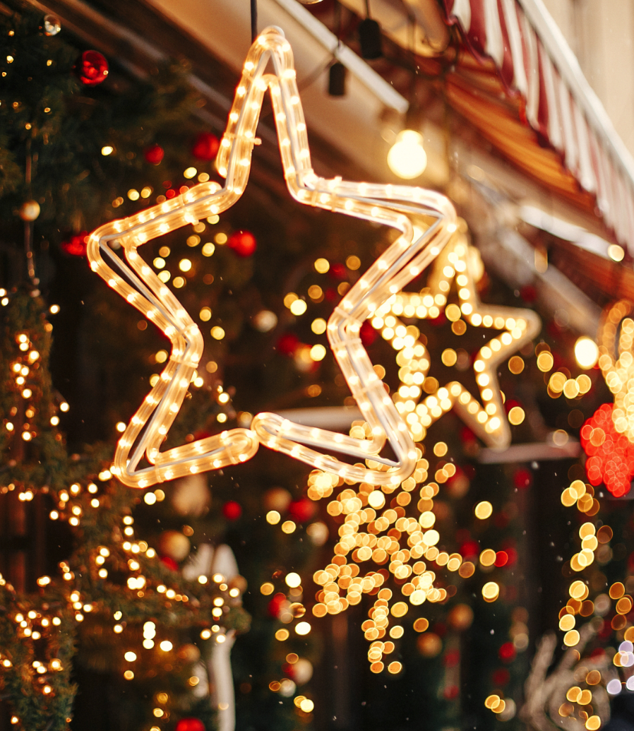 Kerstverlichting buiten | Tuincentrum Eurofleur