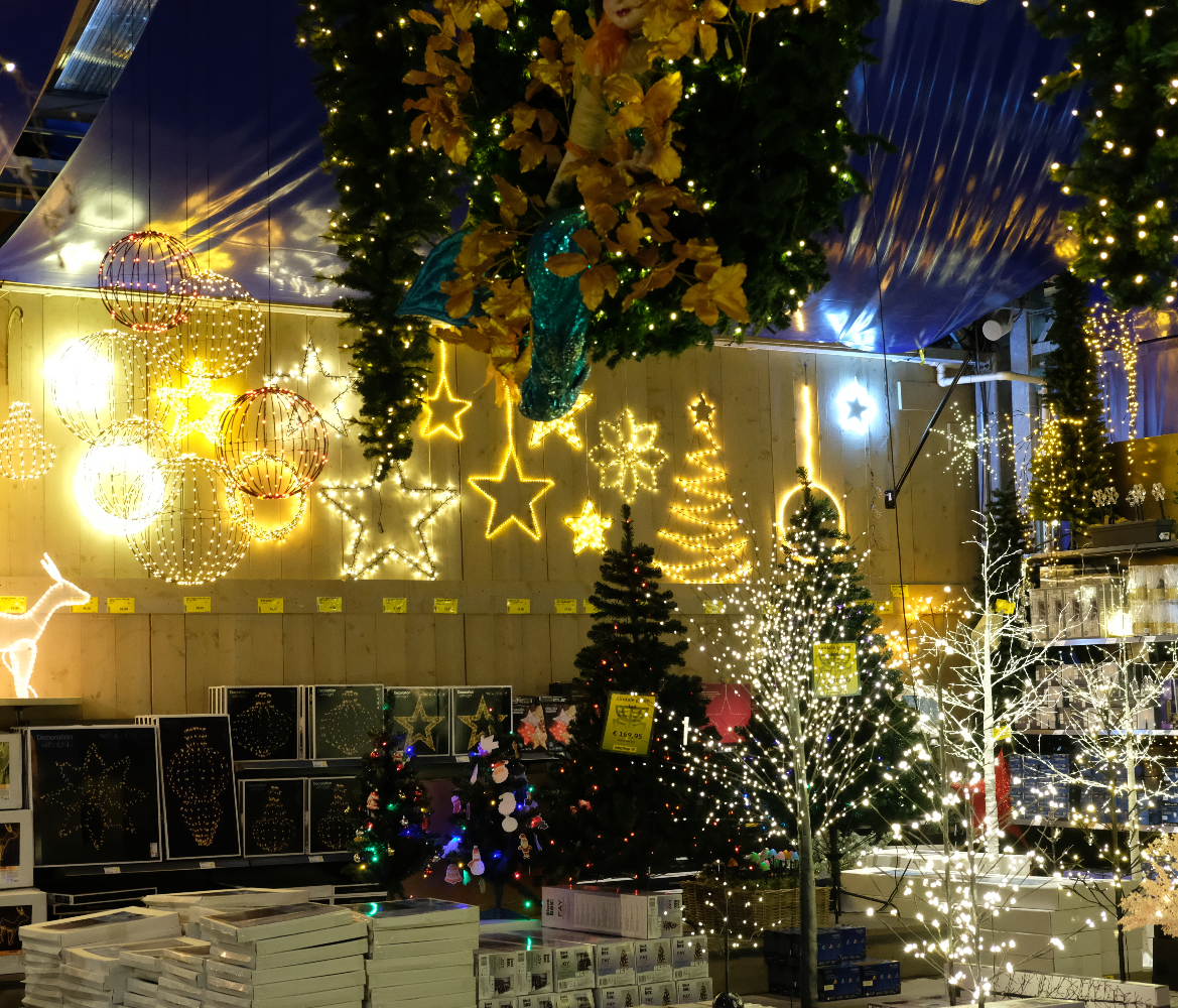 Kerstverlichting binnen kopen | Tuincentrum Eurofleur