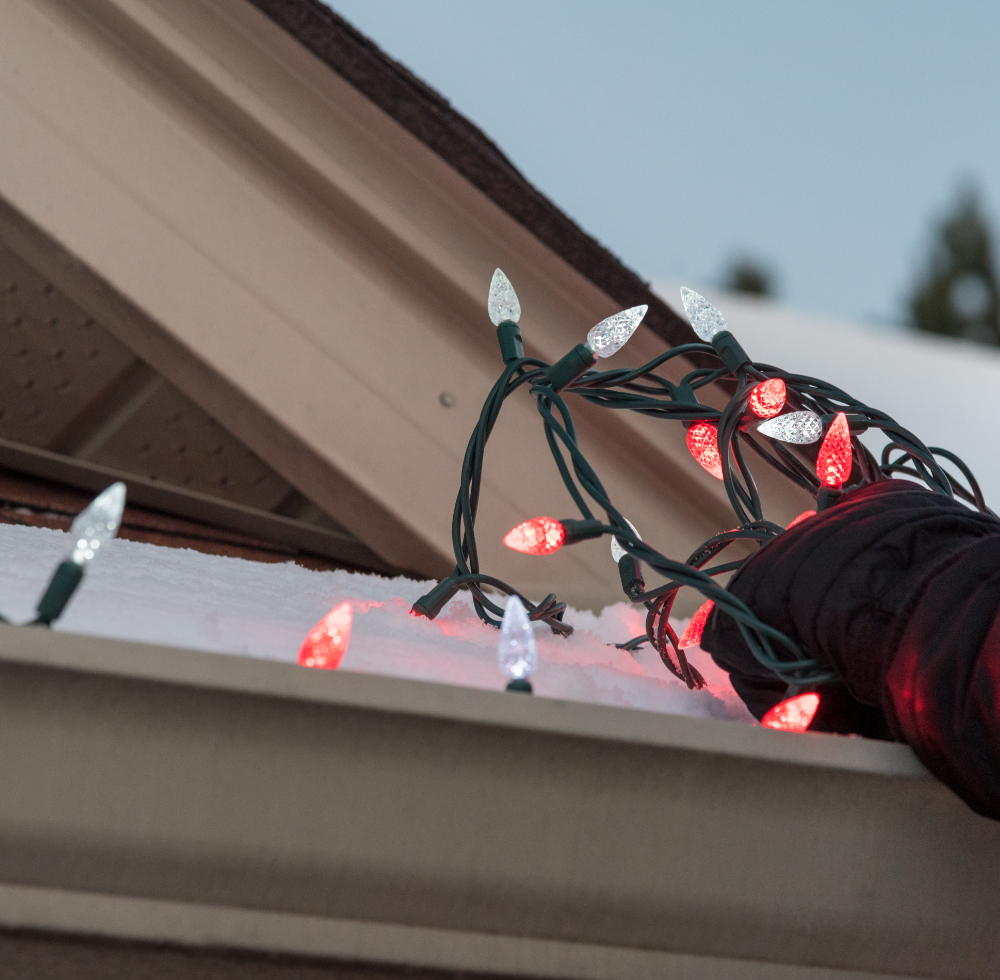 Kerstverlichting buiten kopen | Tuincentrum Eurofleur