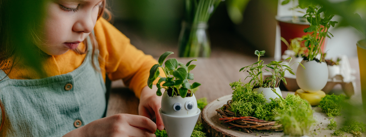 De leukste kamerplanten voor kids: makkelijk en mooi voor op hun kamertje
