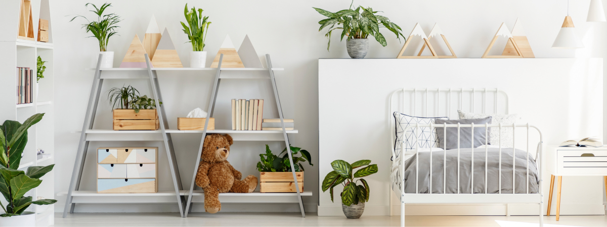 De leukste kamerplanten voor kids: makkelijk en mooi voor op hun kamertje