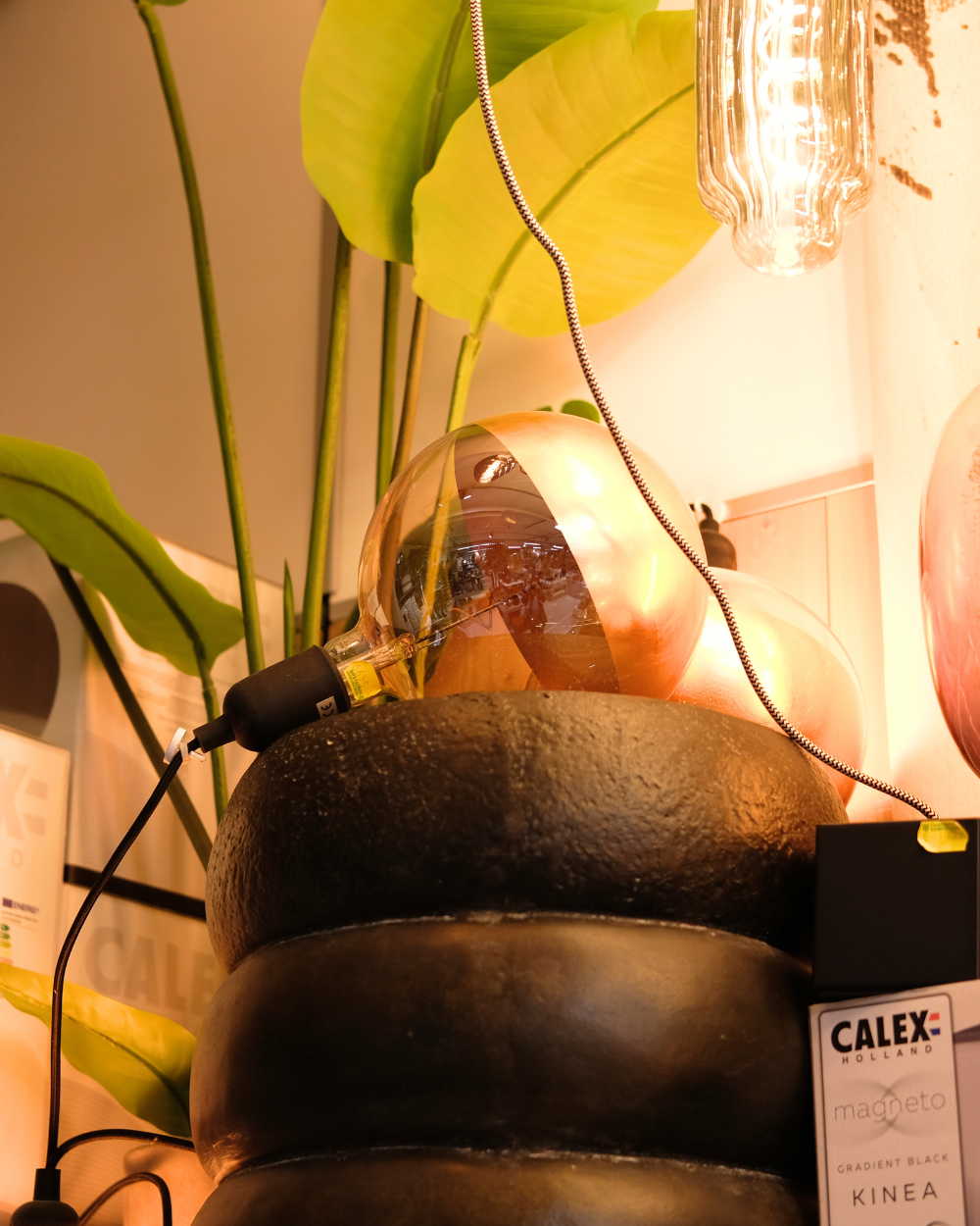 Lampen van onder andere Calex of Light & Living koop je bij tuincentrum Eurofleur in Leusden!