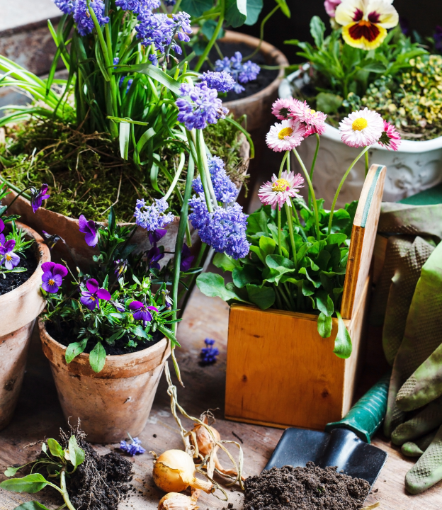 Vier de lente! | Eurofleur in Leusden