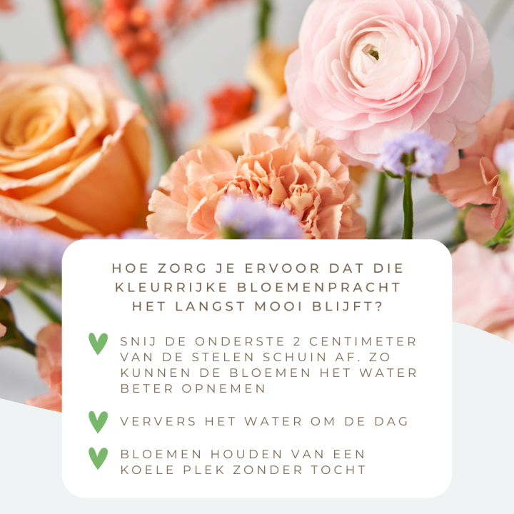 Alles voor je mama shop je bij Eurofleur!