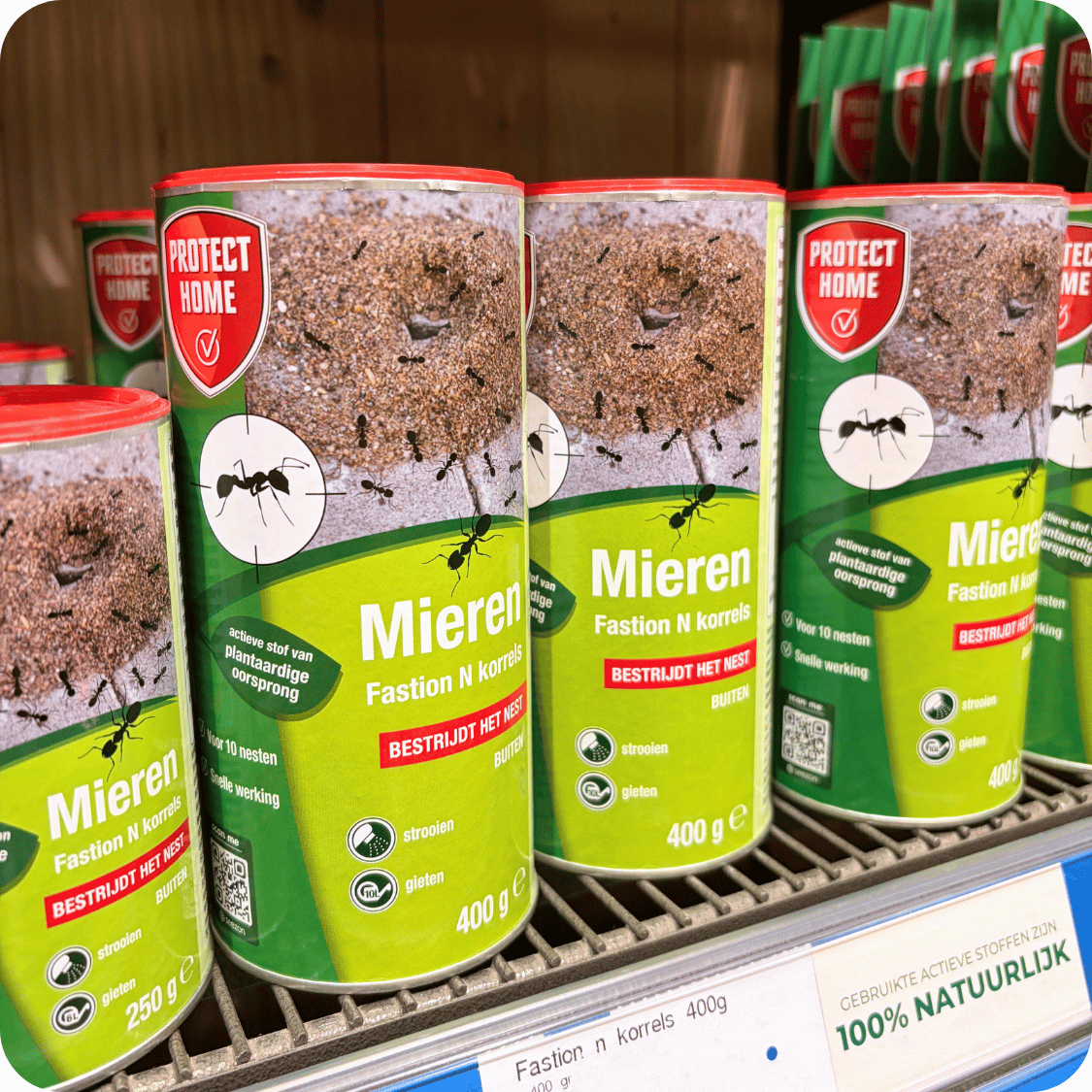 Mieren en slakken bestrijden? Natuurlijke tips | Eurofleur in Leusden Mieren en slakken bestrijden? Natuurlijke tips | Eurofleur in Leusden