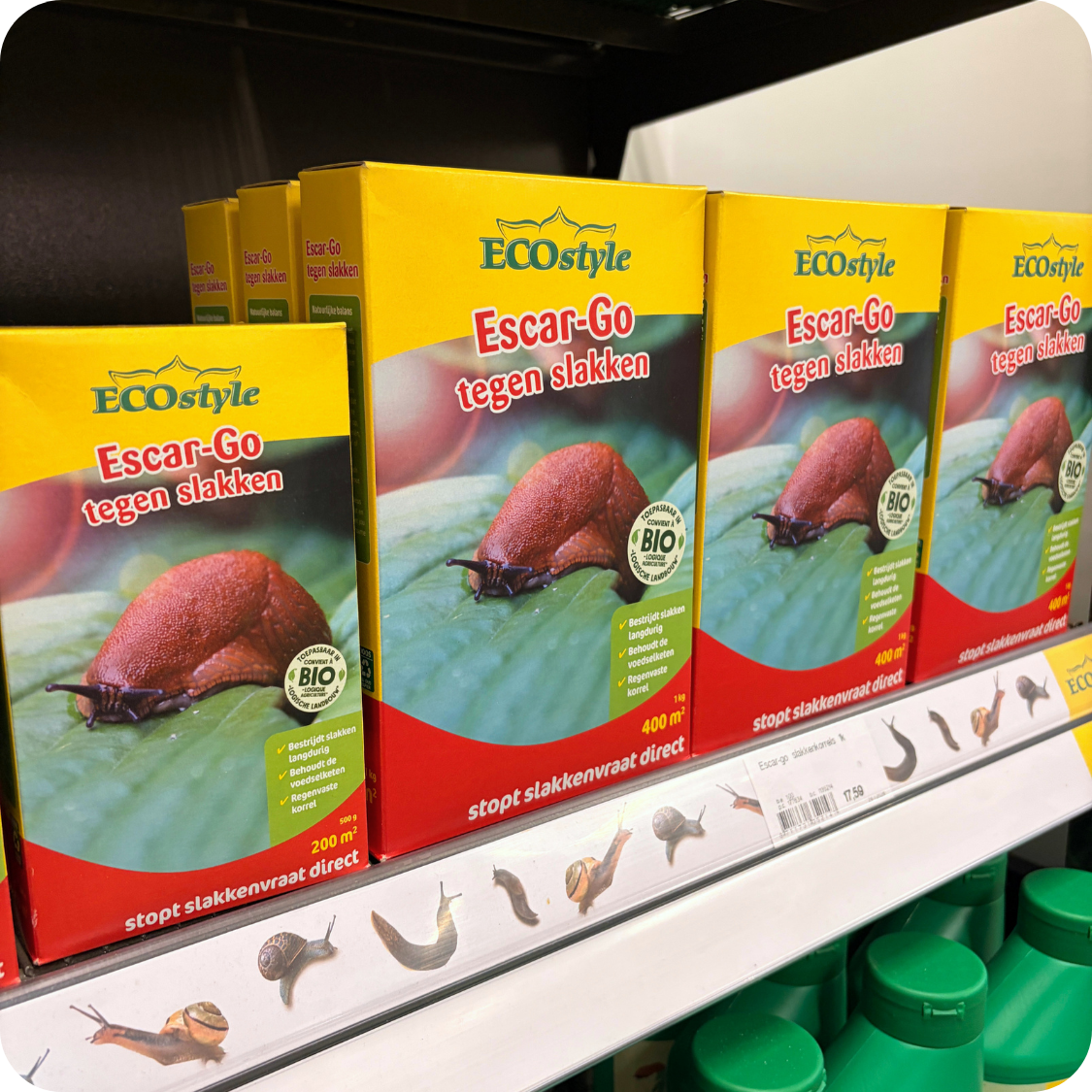 Mieren en slakken bestrijden? Natuurlijke tips van tuincentrum Eurofleur! Mieren en slakken bestrijden? Natuurlijke tips van tuincentrum Eurofleur!