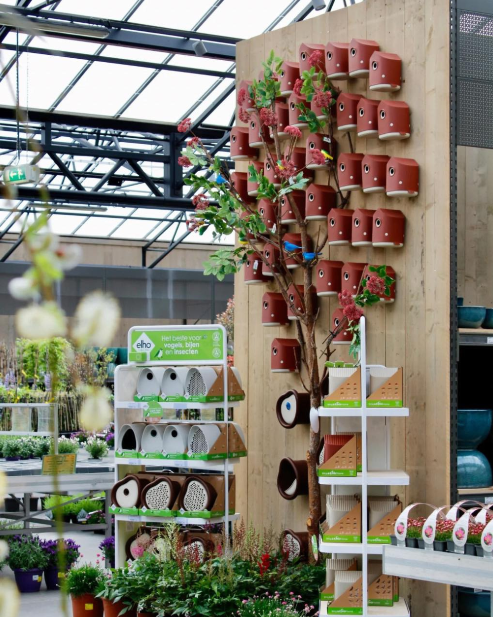 Alles voor het aanleggen van jouw tuin | Tuincentrum Eurofleur