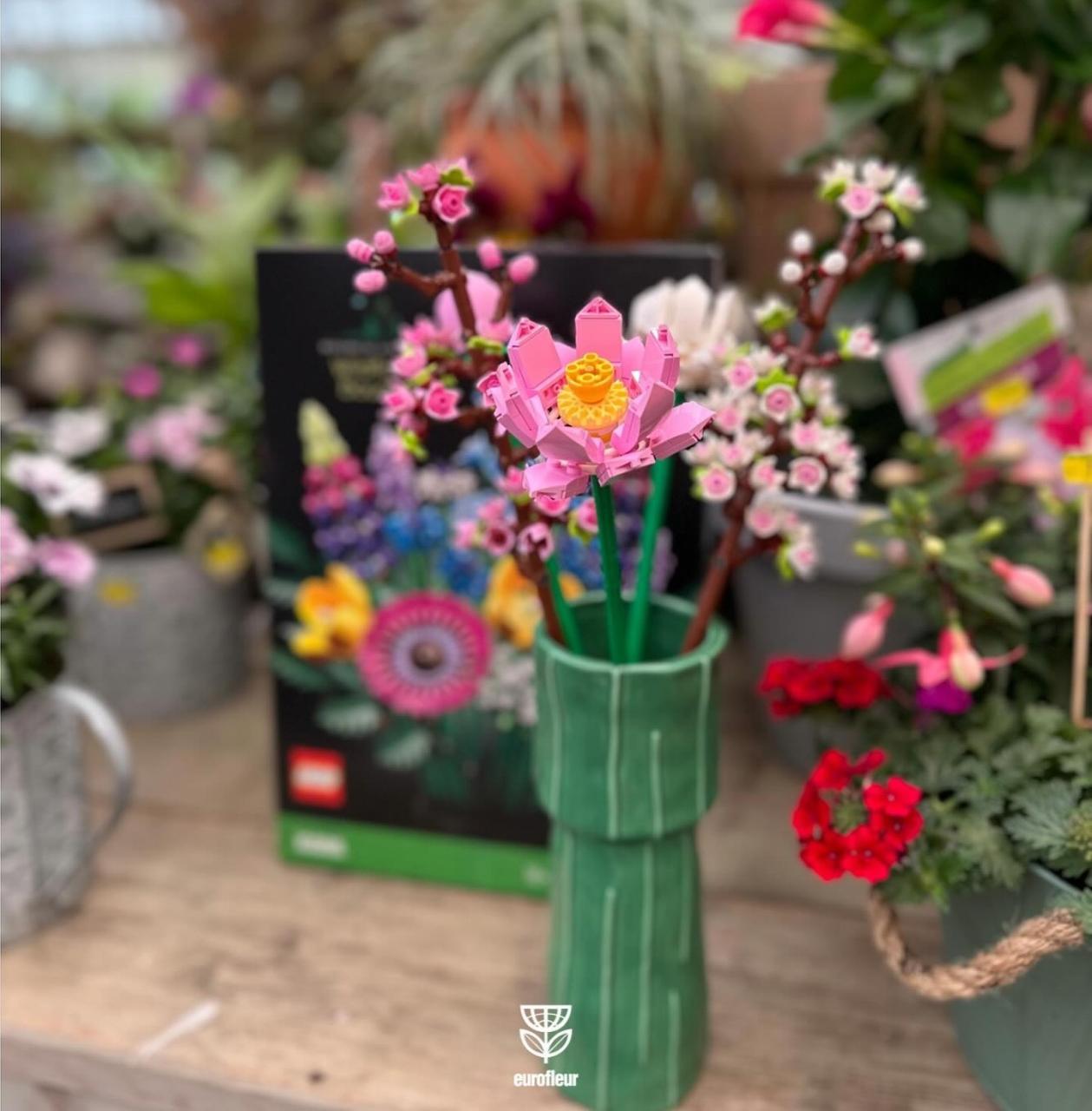LEGO bloemen koop je bij tuincentrum Eurofleur!