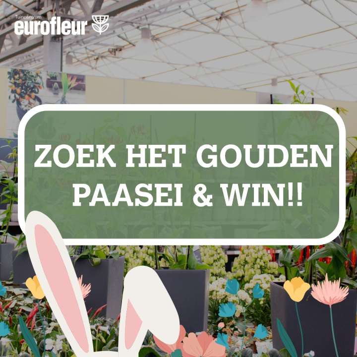 Zoek het gouden paasei en win!