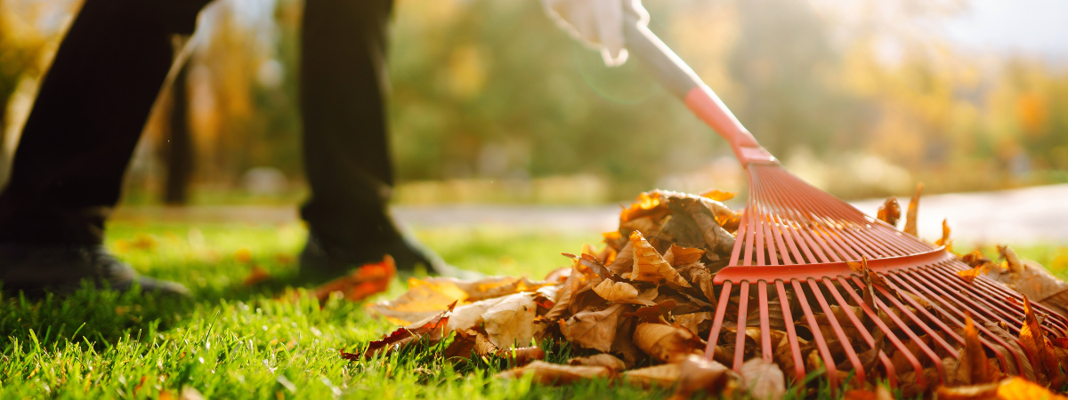 Fitte feestdagen tips: ga voor een tuin work-out!
