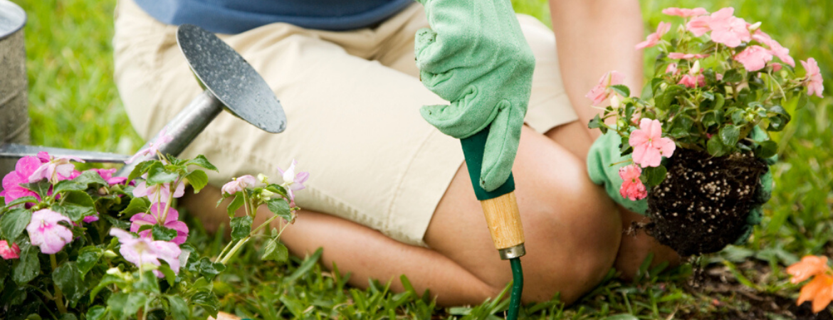 border-schaduwplanten-aanleggen