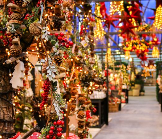 Kerstverlichting kopen | Tuincentrum Eurofleur