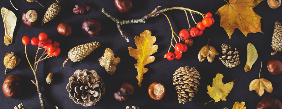 Herfststukjes maken met behulp van Tuincentrum Eurofleur! | Eurofleur.nl