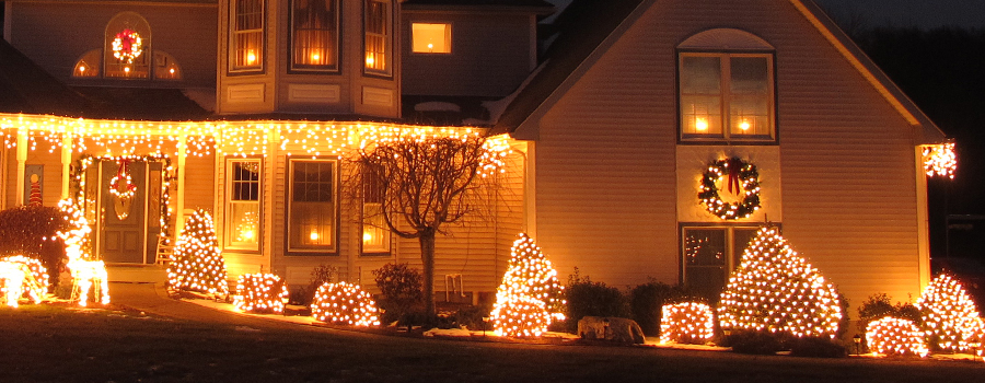 Tips voor de kerstverlichting in je tuin! Eurofleur