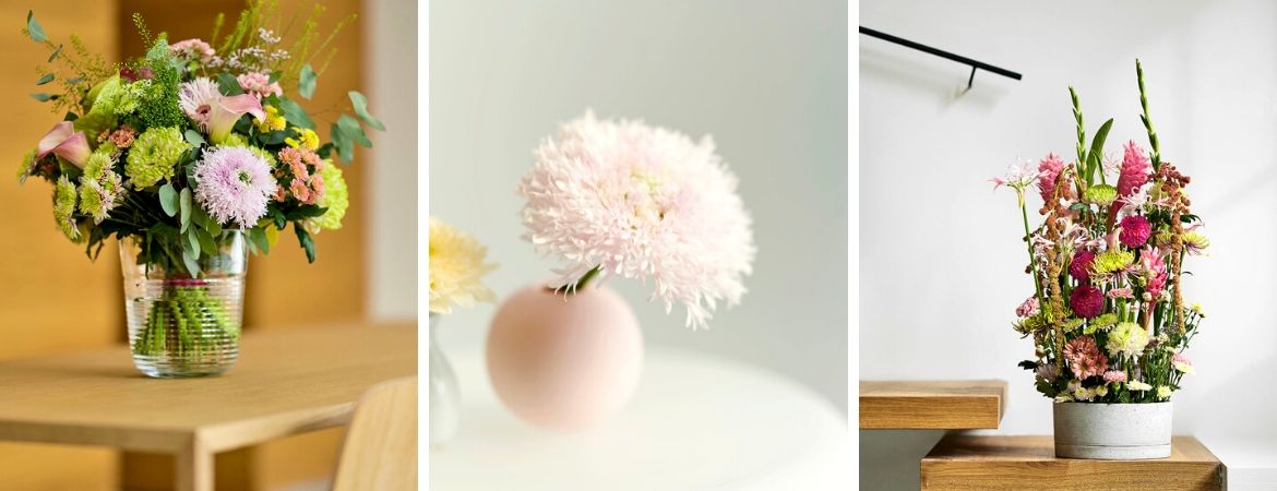 Verzorgingstips voor de Chrysant